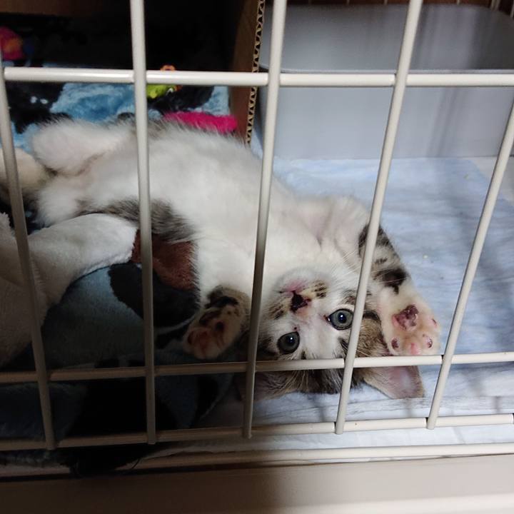 D4acaff0 2369 4463 af8d 9278516efc59 1538798009501