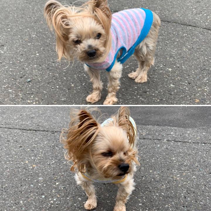 D4acb1f2 d14a 419b b916 cad47b3303a0 1622801272384