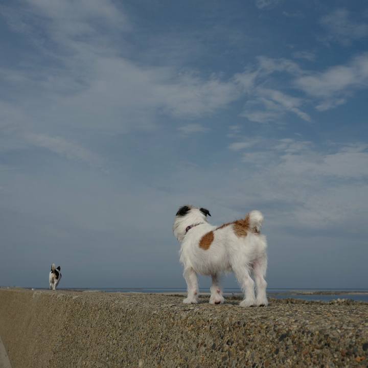 D4acc68d 6cbf 4c25 993d 833484d7e54f 1531716124988