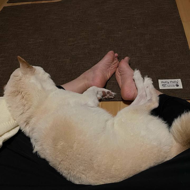 D4acc708 cef1 4c27 8819 b5b70161ddf8 1662139426330