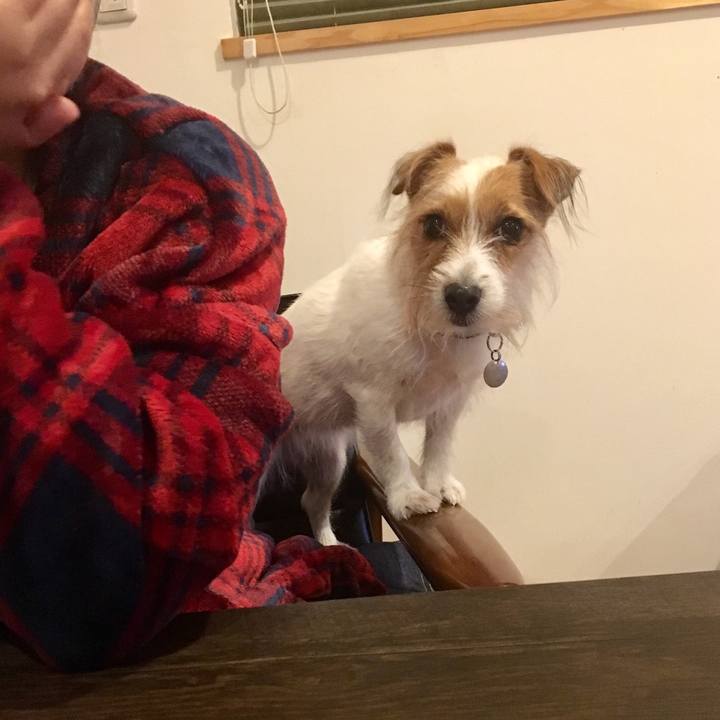 D4ad07ae a237 4956 91cb 9cca03f59d99 1542634874278