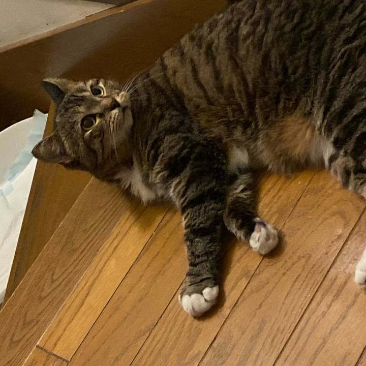 D4ad84e1 9a60 4fba 90f6 c420c7af6486 1692531942849