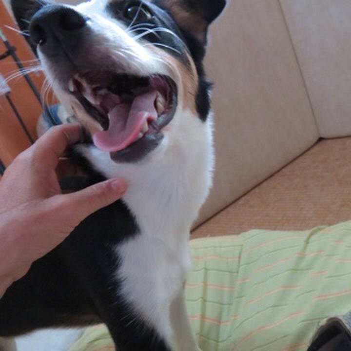 D4ada861 41ca 4b49 9b30 1c7350166e73 1570805106461