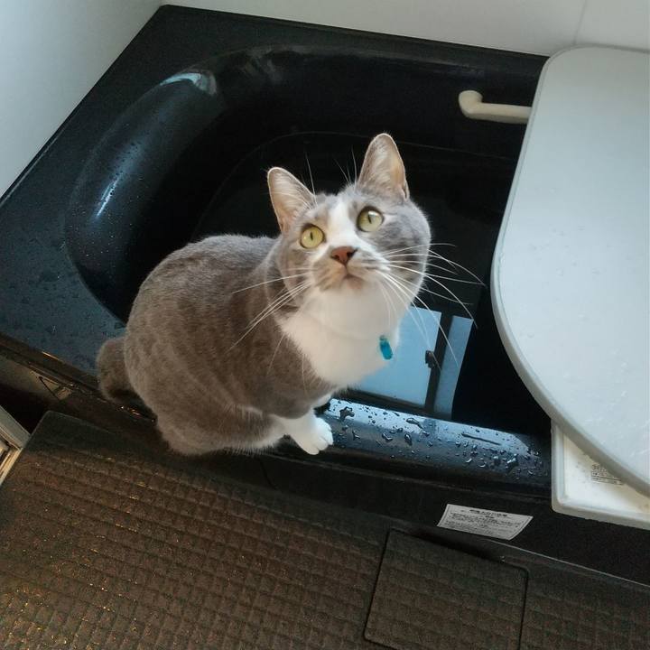 D4adb79a 62e7 48fd 9806 234218cff670 1647660510916