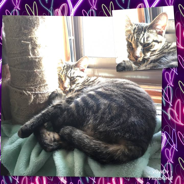 D4adcf43 5250 4419 9fe5 efbfe4d91ead 1546479449714