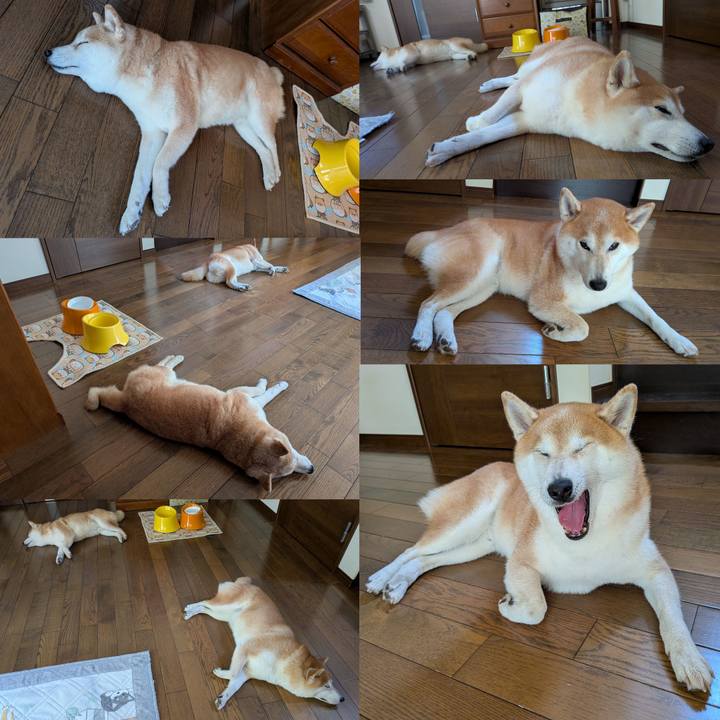 D4ae03c7 dc6f 487d b5bc 00f56e50d771 1763782823315