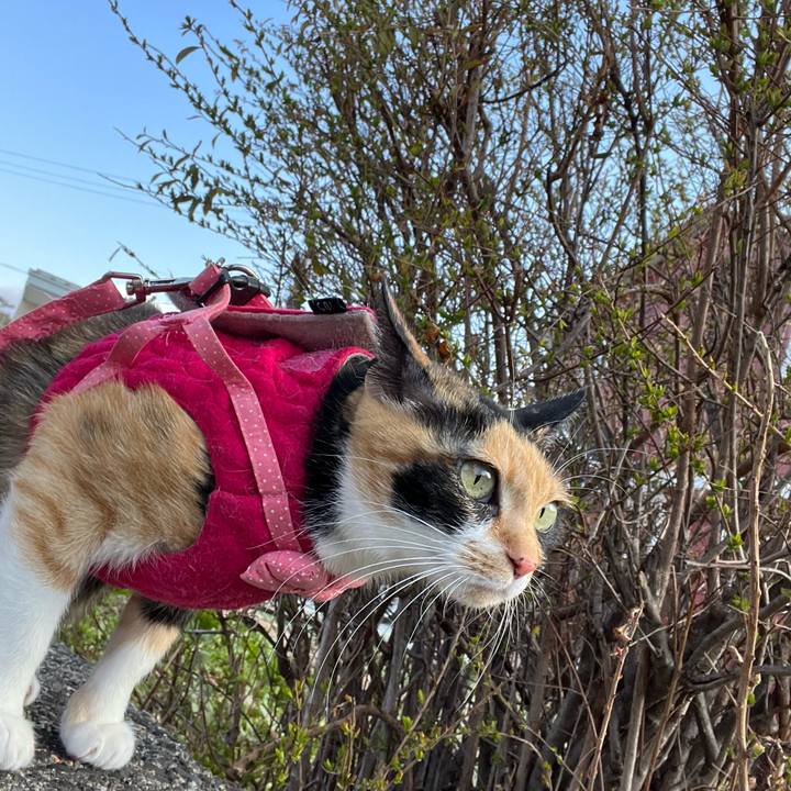 D4ae042e fd37 420d aecb 4f68f6d14c09 1649578267256