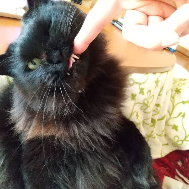 D4ae1933 5eb4 431c b58b 122968c94255 1579654823775