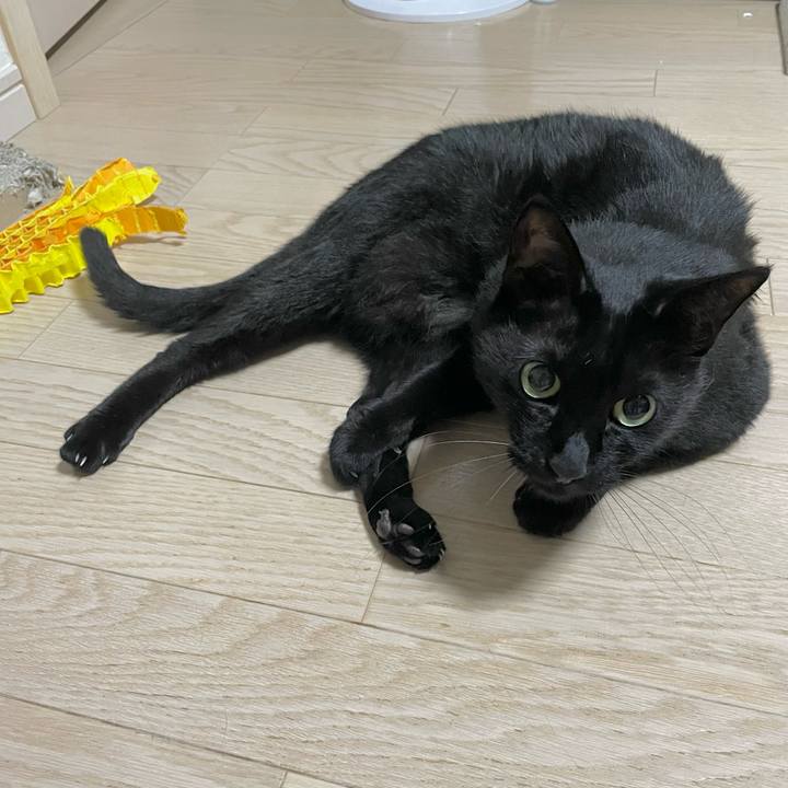 D4ae2511 0fb9 4584 b6a7 ed26b8dc8370 1717503122420