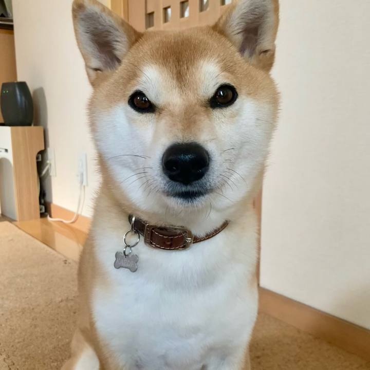 D4ae42c9 de14 4ab1 a5a2 13d7591ad316 1742970757999