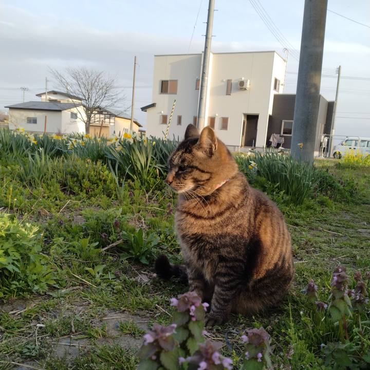 D4ae49f0 4e6a 4969 b507 2f911585d52f 1682068592592