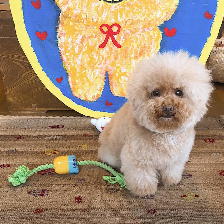 D4ae53d4 4373 4113 ab96 a659b83521d7 1536886799387