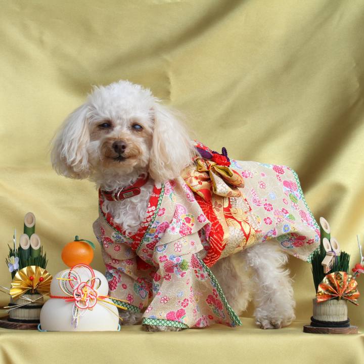 D4ae5973 36c1 4071 af20 be6e925c8c06 1609547486420