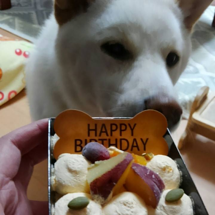 D4ae6413 efc4 46ca 8a57 a9a1842ea69a 1521538925496