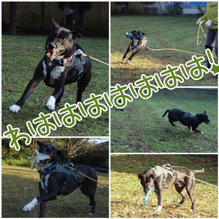 D4ae708e 6053 4cb0 9254 8c8c709e4457 1637369598711