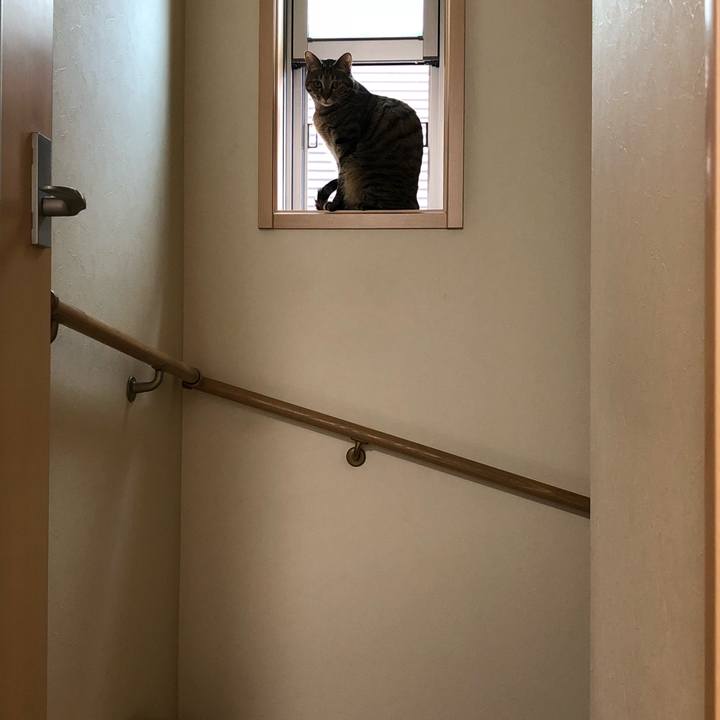 D4ae772d 20a7 49d0 9d54 96de4557e716 1529301065494