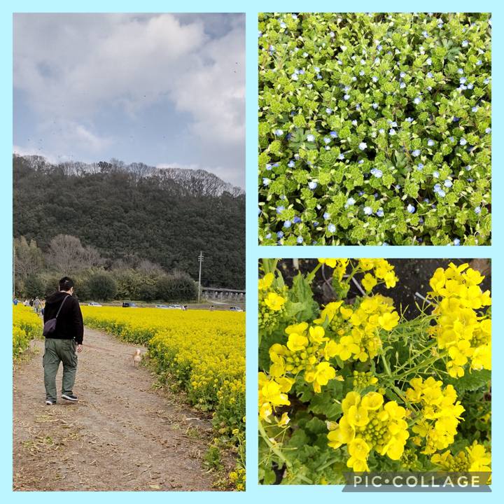 D4ae8e47 c0f3 48ac b3a3 36f1d383afd4 1742454156342