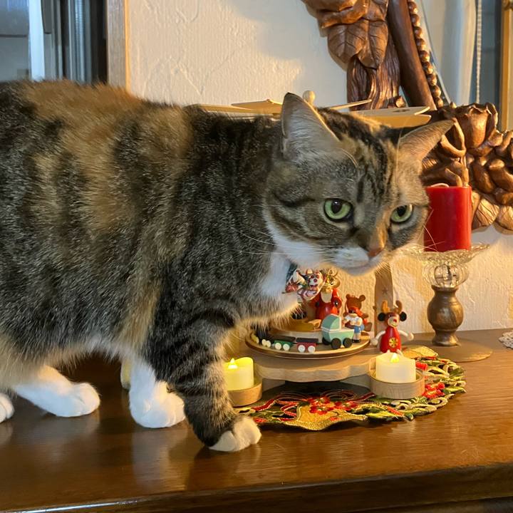 D4aea367 4f6c 424b b2d4 251a981f732e 1766061483447