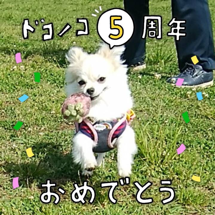 D4aec5eb d4df 4c57 83b7 d5ca1061de77 1622902126885