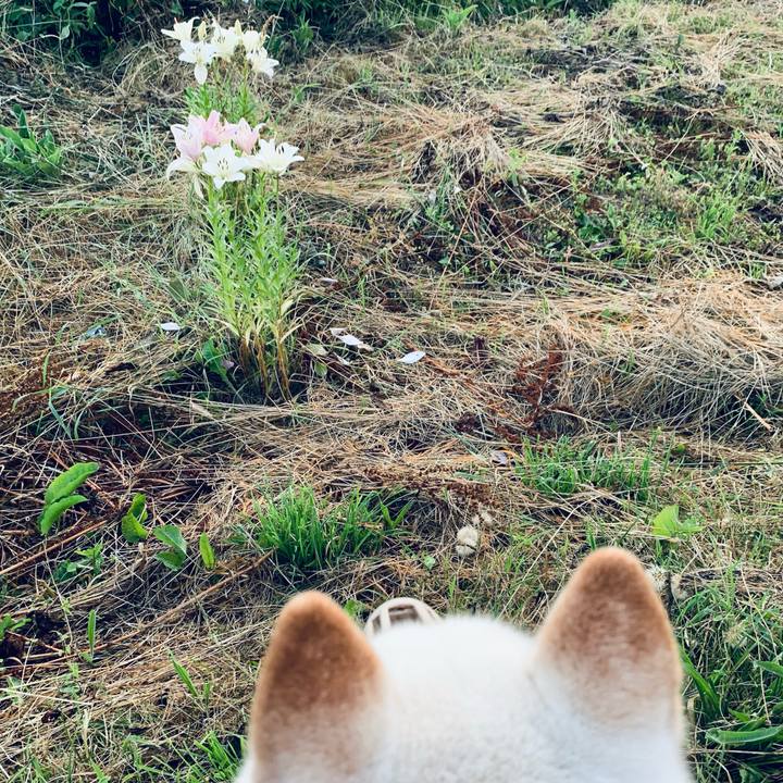 D4aee24e a067 4be8 888d 7dbc6d837bc6 1626551520670