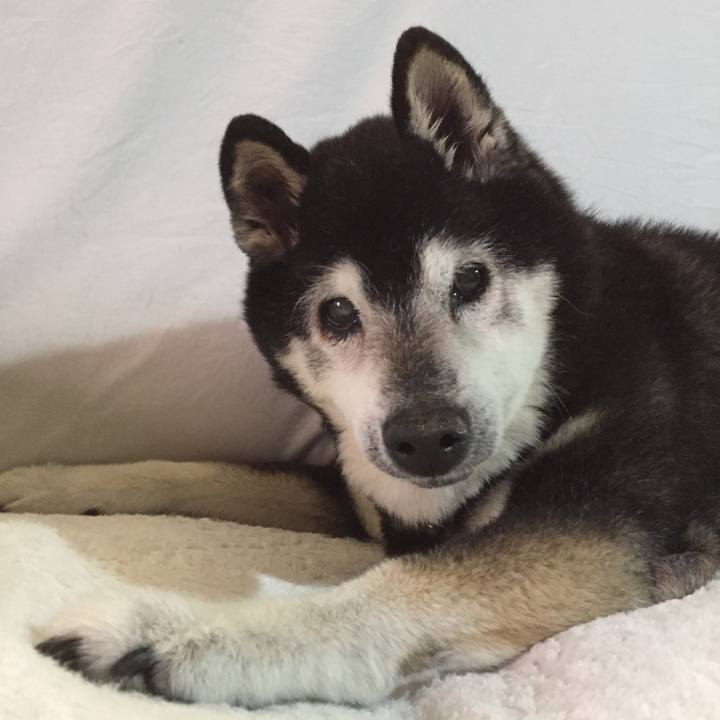 D4af01dc e1b0 494a a4c3 6bef79881b96 1557702336854