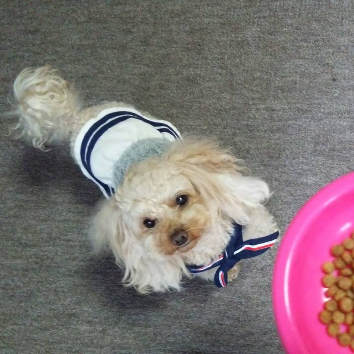 D4af260b 64f7 45b4 9e59 8cd9cf6ded91 1521290578021