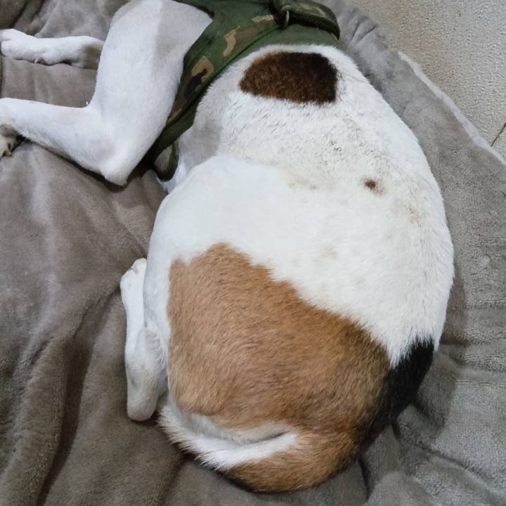 D4af9a58 a6be 43d3 8b3b 62e564d1c51f 1737276932071