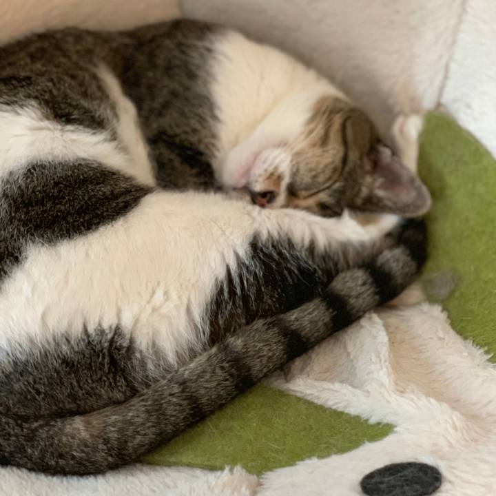 D4afbde7 597c 4458 b929 f8b80caea701 1562116907740