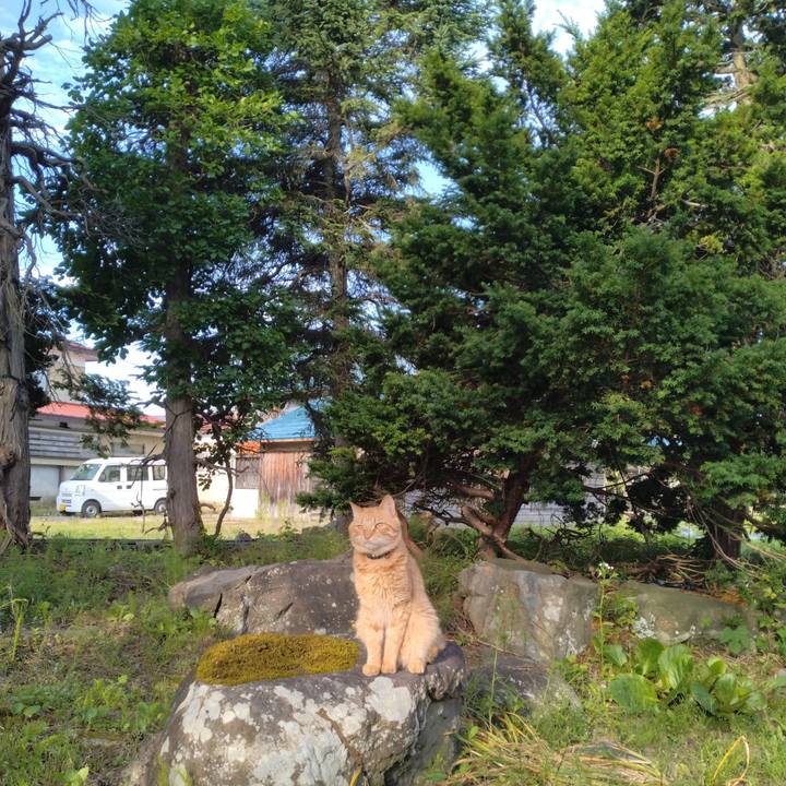 D4afc377 8d42 473f b8dc 1b033053f310 1687299813107