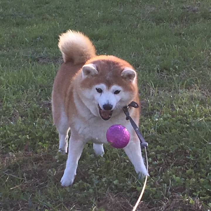 D4afd9a9 359b 47ac 96a9 4a9767dcd6d1 1575869759087