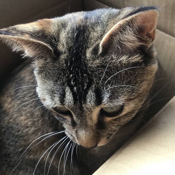 D4b0040d 24f8 457f 955d 9821f972a3cc 1589254479172