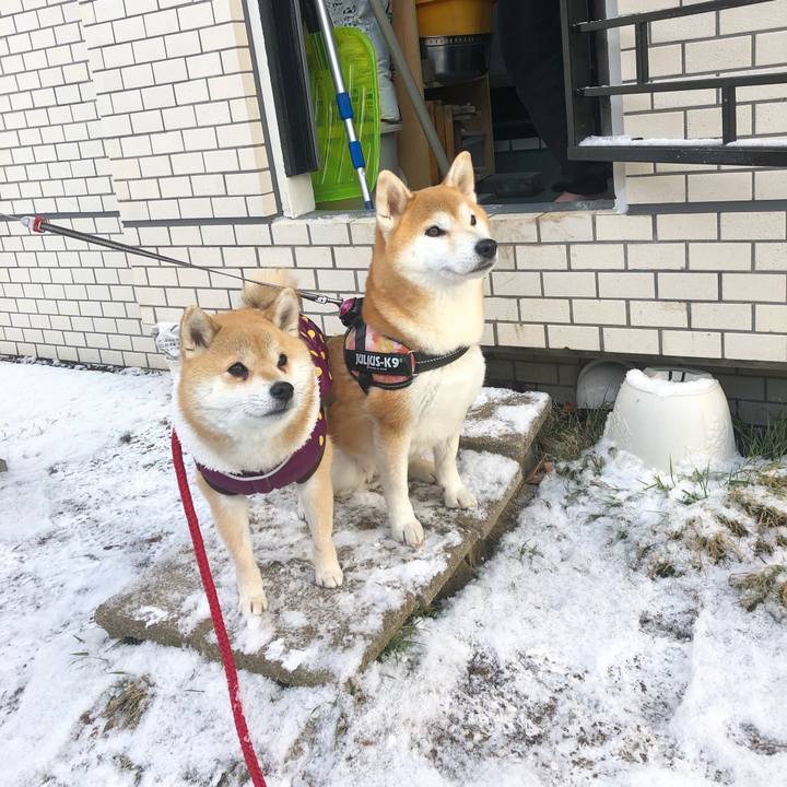 D4b06e7d 50c5 47c0 be77 89444177b04d 1576808990510