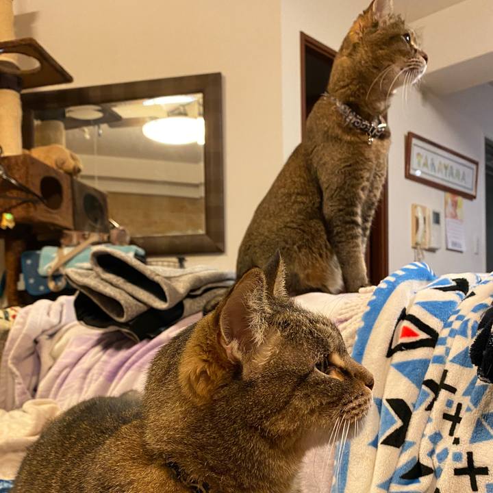 D4b078c5 57f7 42b7 8f8b 9ffa4cd3fcbe 1580039270055