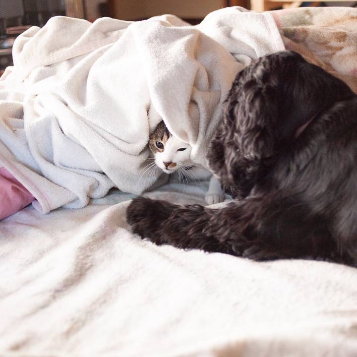 D4b07ab9 b2f8 44a2 b9f3 235174ad18e7 1548635383146