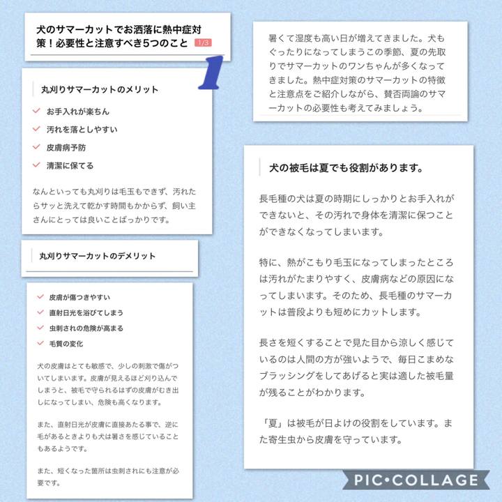 D4b08e01 ebae 4b1e 87b3 a46eefa65283 1531704033904