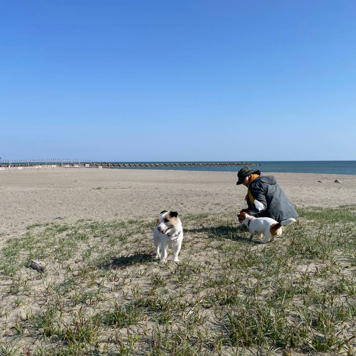 D4b092a3 1018 46bf a376 0f2af7149584 1651709539832