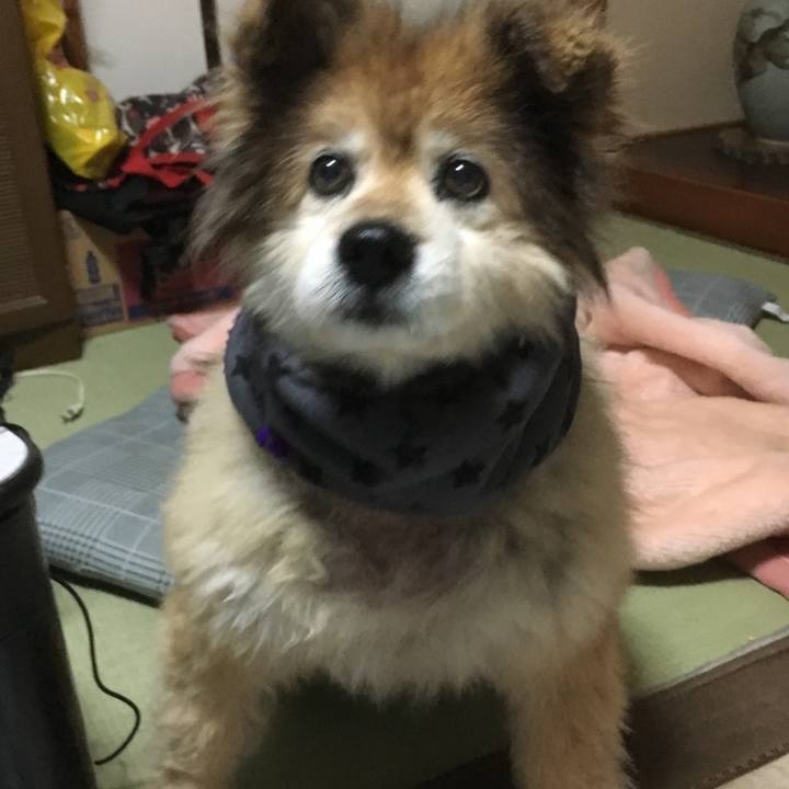 D4b0a533 de29 4393 9491 2b78e31e35fc 1614401397739