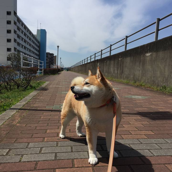 D4b0db14 1831 47b2 8691 0a4e48819c63 1554435235026