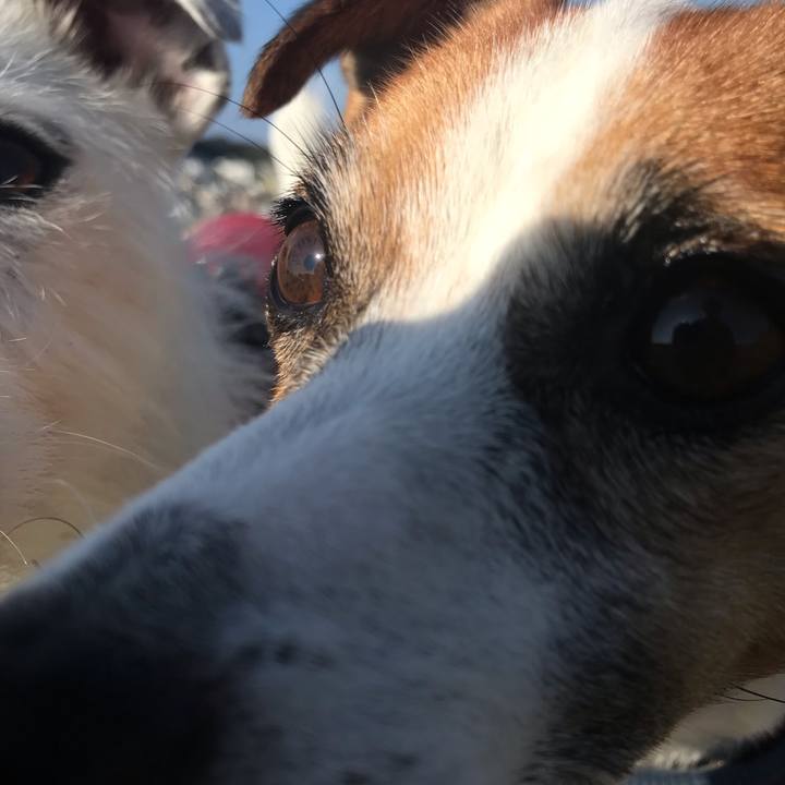 D4b0eb6f 1fee 4058 88b1 4d79fe15da4e 1541640425170