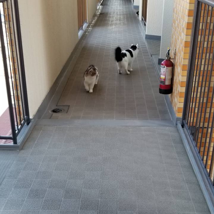 D4b0f47f cb1c 495e 903d c8320b9a1d03 1558907483775