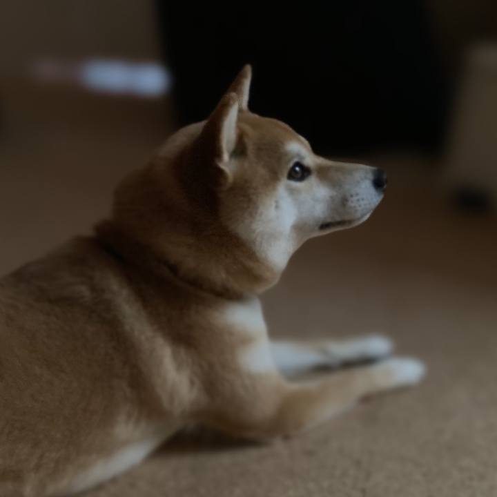 D4b15cfe b89f 46c0 84cb 27e2f4cbb40f 1651786031675