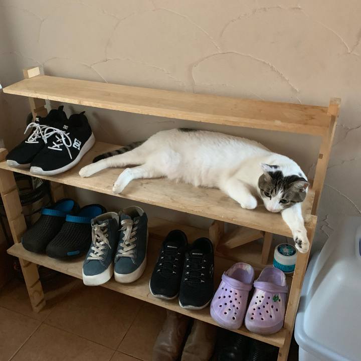 D4b1675e efa9 45e0 99c1 cb8226f02d8f 1564440832083