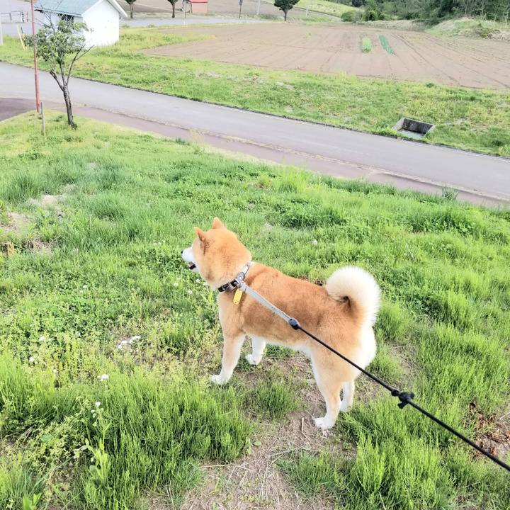 D4b18eb5 58df 41d3 ad82 2558a3ad70fa 1620893188680