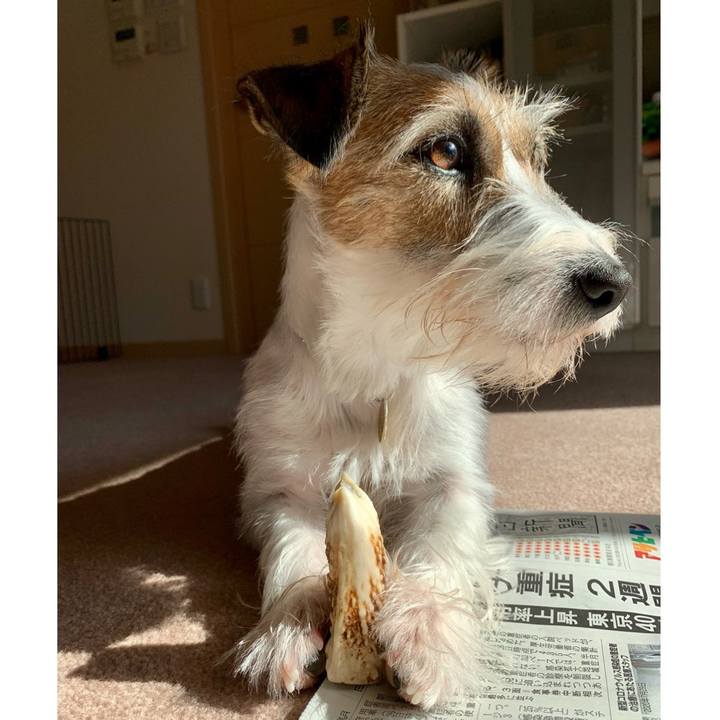 D4b1d058 8121 4c9e a6f6 43a215f2742a 1606533653735