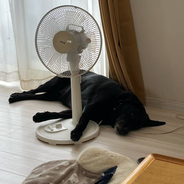 D4b1d240 edfe 49c1 99a3 accbc97d4af9 1751936742579