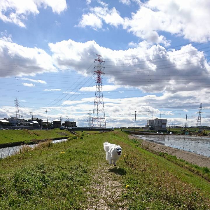 D4b202e3 b56d 4f61 aa58 7a3af52cb9fa 1521699711931