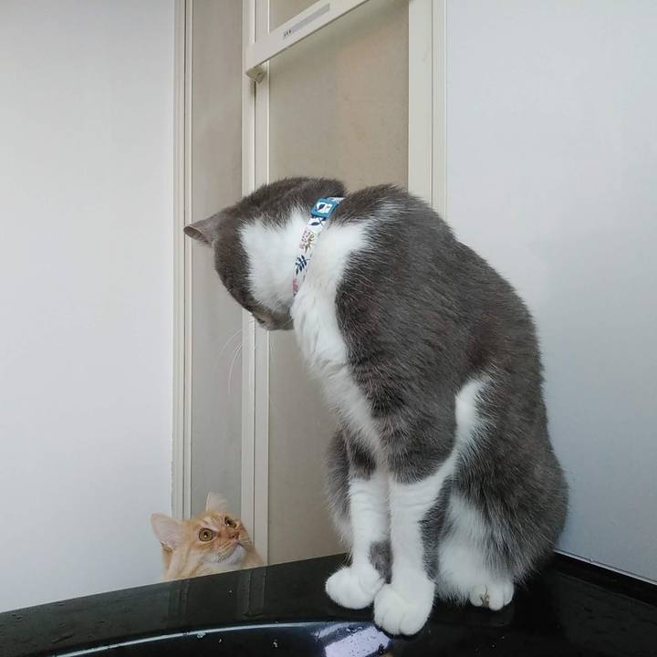 D4b212fd da2e 4974 9d19 8039b8a4b93b 1667905797879