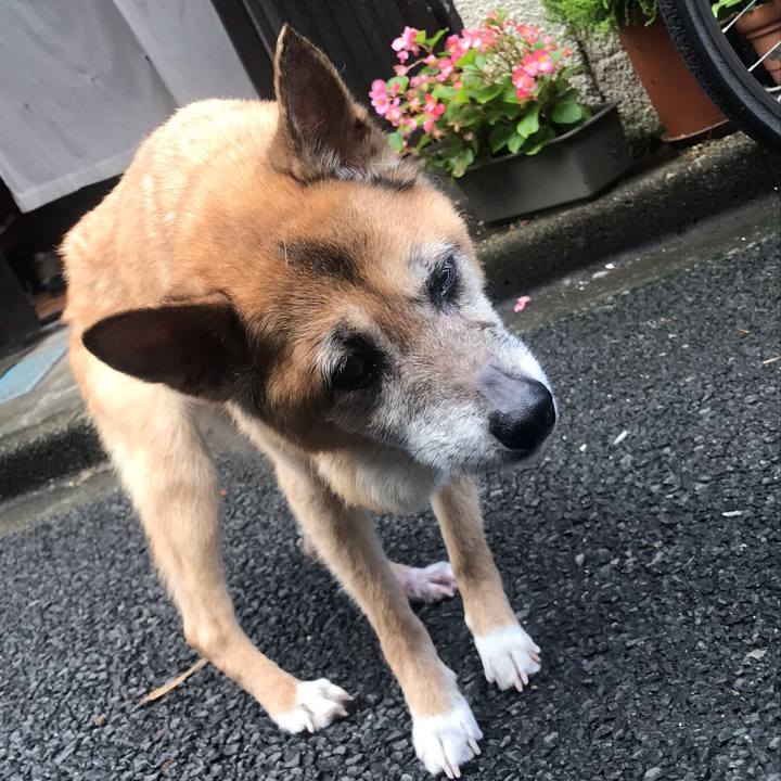 D4b22a64 95ef 4caf be12 c8d42490c7e6 1564184912540