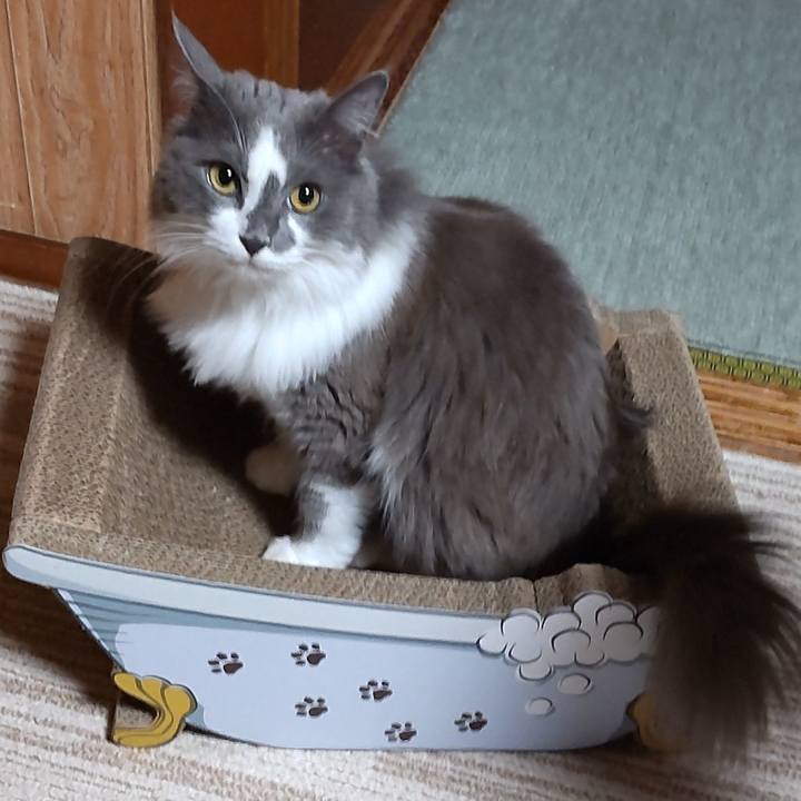 D4b28a38 bfd0 49b6 8883 bc5d4c6b8fba 1633432247820