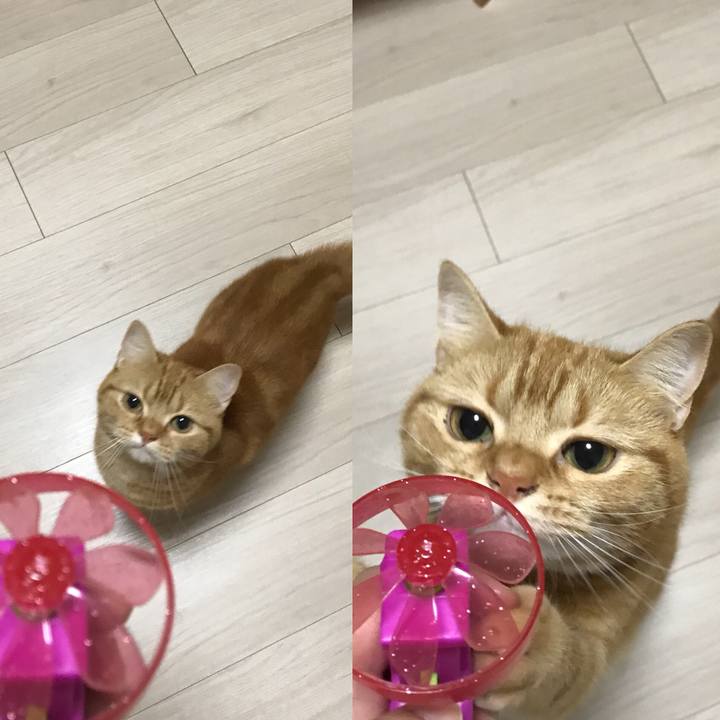 D4b2a8d5 85cd 4c53 b88e 77dbc341ac42 1525083108235